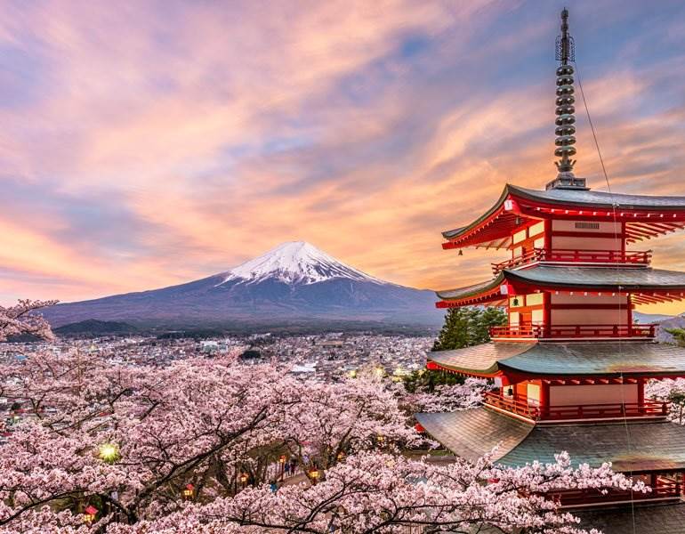 Travel Japan: Best Time to Visit Tokyo Throughout the Year