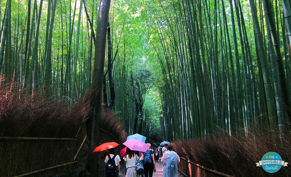 Arashiyama Bamboo Grove