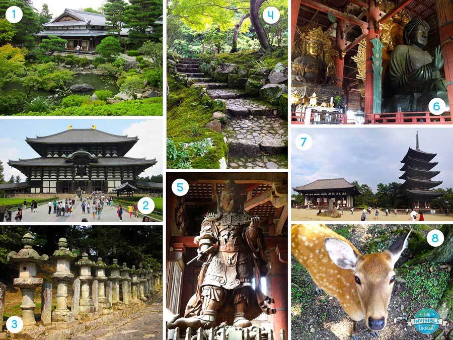 Day Trip to Nara Highlights