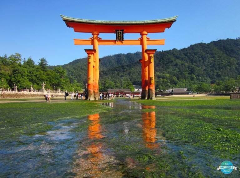 24 Unique & Best Places to Visit in Japan for Every Traveller