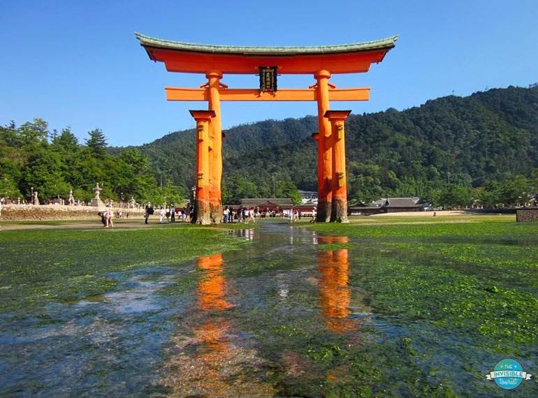 Grand Torii Gate, Miyajima