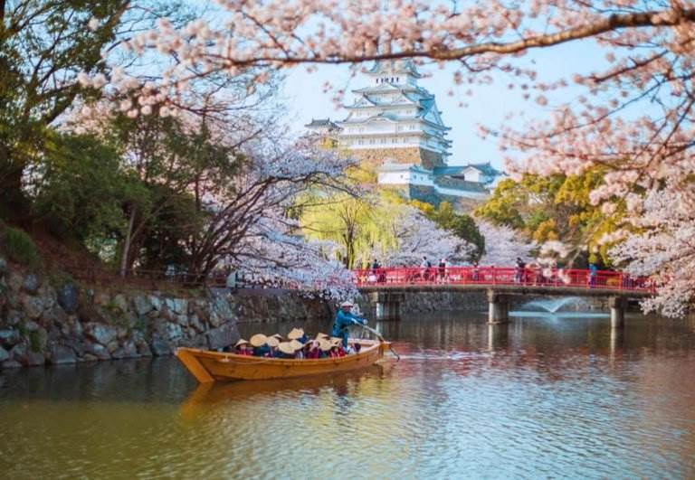 The Best Time To Visit Japan For Cherry Blossoms Revealed the-best-time-to-visit-japan-for-cherry-blossoms-revealed