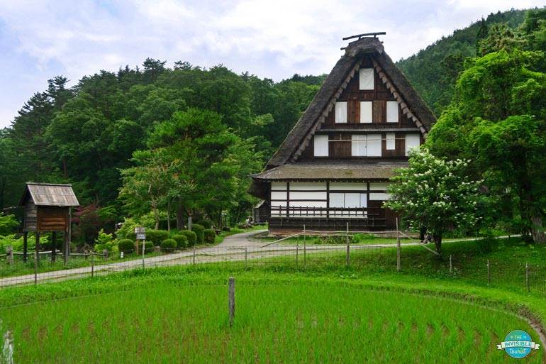 Wheel-Shaped Rice Field by Nishioka's House | The Invisible