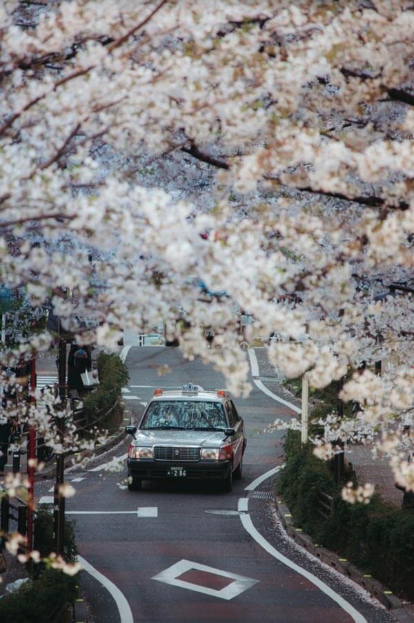 17 Iconic Streets in Tokyo You Must See to Believe