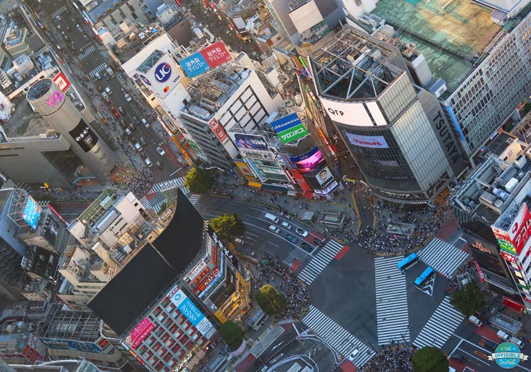 Shibuya Crossing from Shibuya Sky, Tokyo