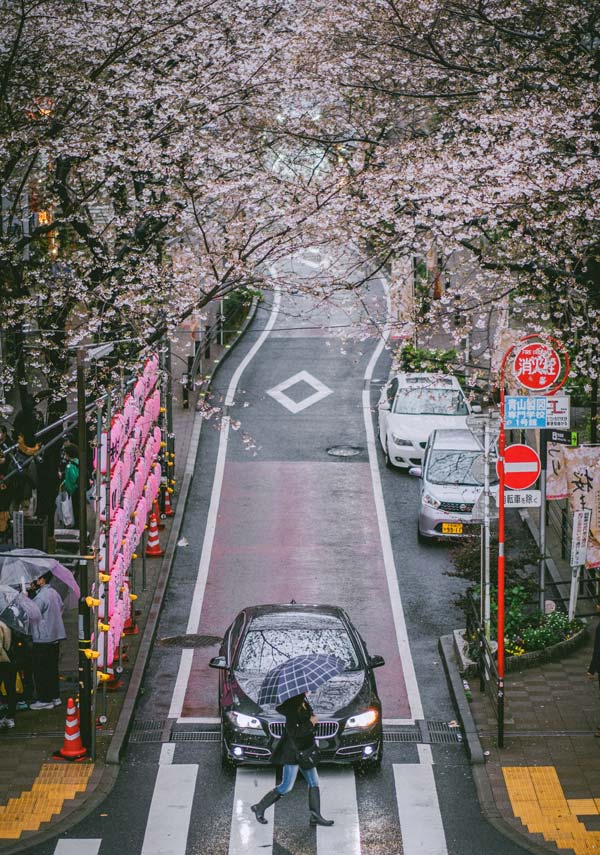 Sakuragaokacho (Sakura-dori or Sakura Street) in Shibuya