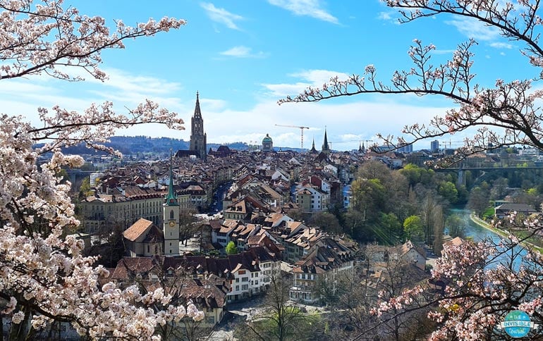 Don't miss the cherry blossoms at Rosengarten during your one day in Bern in spring