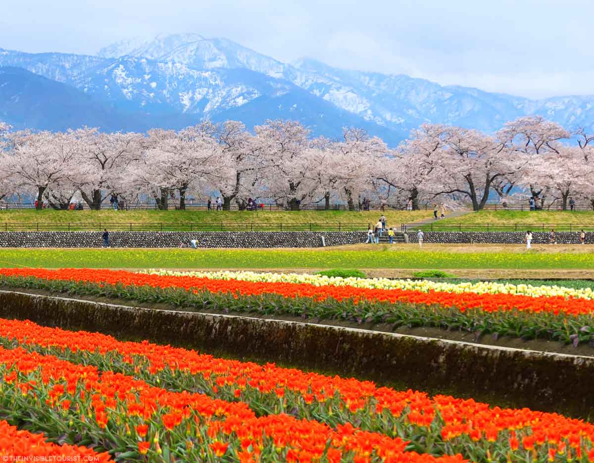 Unforgettable Things to do in Toyama Japan & Nearby Attractions | The Invisible Tourist