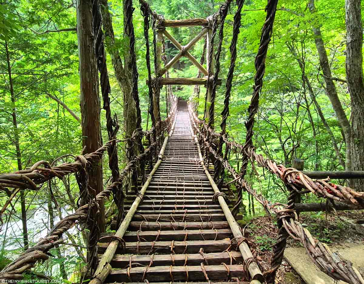 One Day Iya Valley itinerary: Beyond the Vine Bridges in Shikoku's Heart | The Invisible Tourist