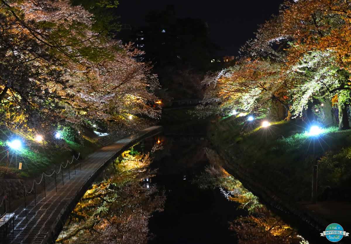 Witnessing the Matsukawa River Cherry Blossoms illuminated is one f the best things to do in Toyama at night