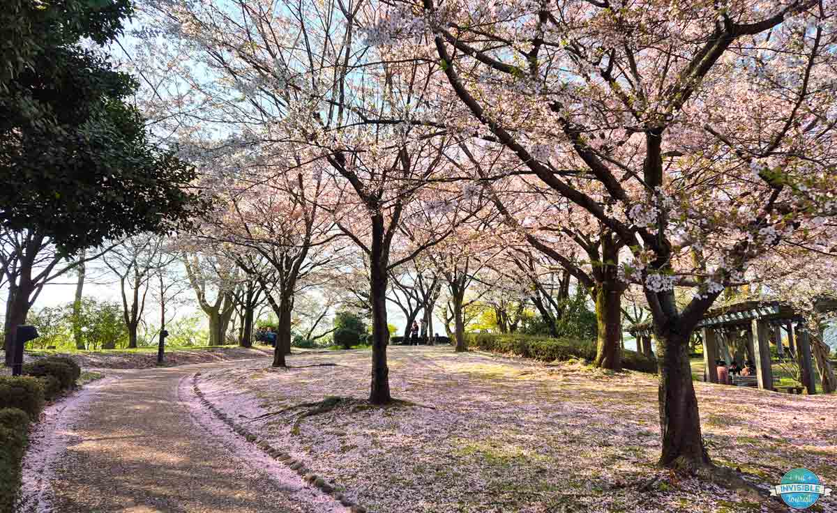 Takaoka Castle Ruins, Toyama in spring
