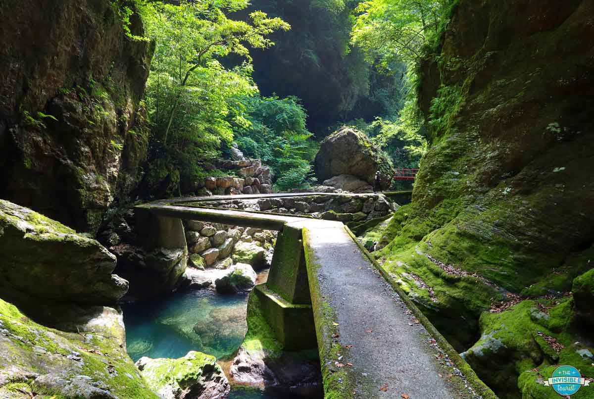 Mossy scenery within Nakatsu Gorge, Kochi, Shikoku