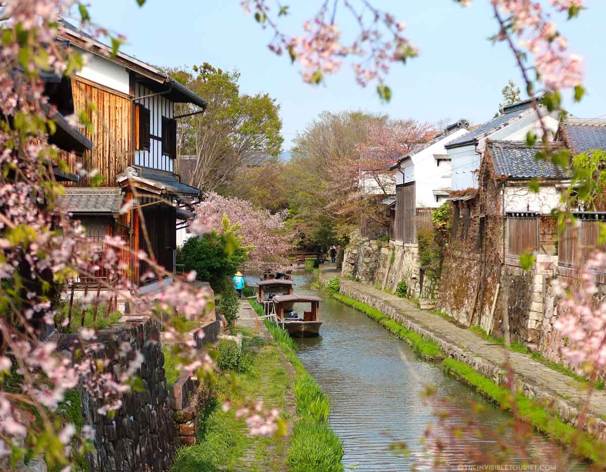 Omihachiman Day Trip Itinerary: Overlooked "Little Kyoto" of Shiga | The Invisible Tourist
