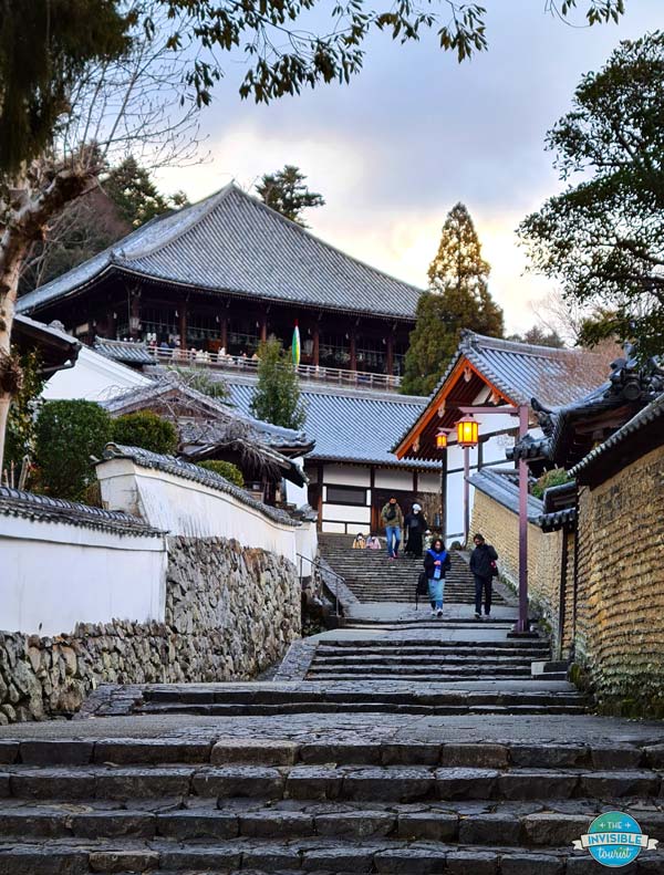 Nara offers a similar ancient alternative to Kyoto