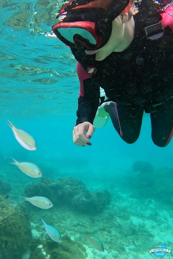Alyse snorkelling with fish over coral in Okinawa