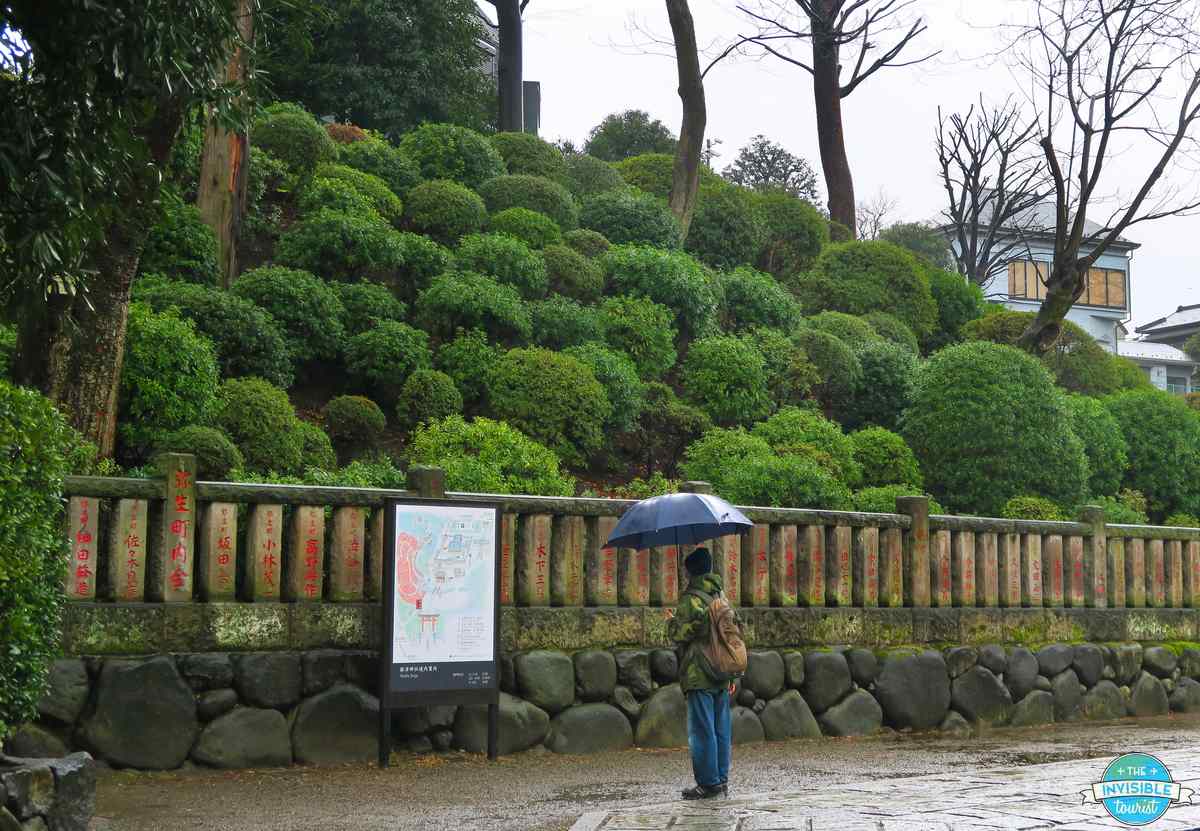 The azalea garden hillside at Nezu Shrine in Tokyo before the azaleas bloom, on a rainy day in March 2020