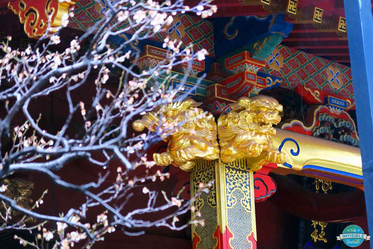 Ornate gold carvings on the vermilion shrine buildings at Nezu Shrine, Tokyo, framed by spring blossoms