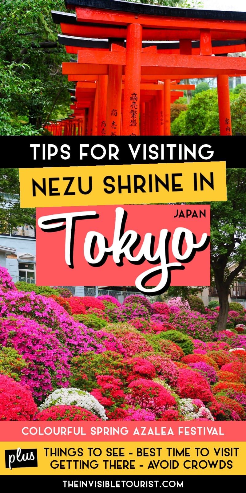 Nezu Shrine Tokyo: Torii Tunnel, Azalea Festival & Tips for Visiting | The Invisible Tourist