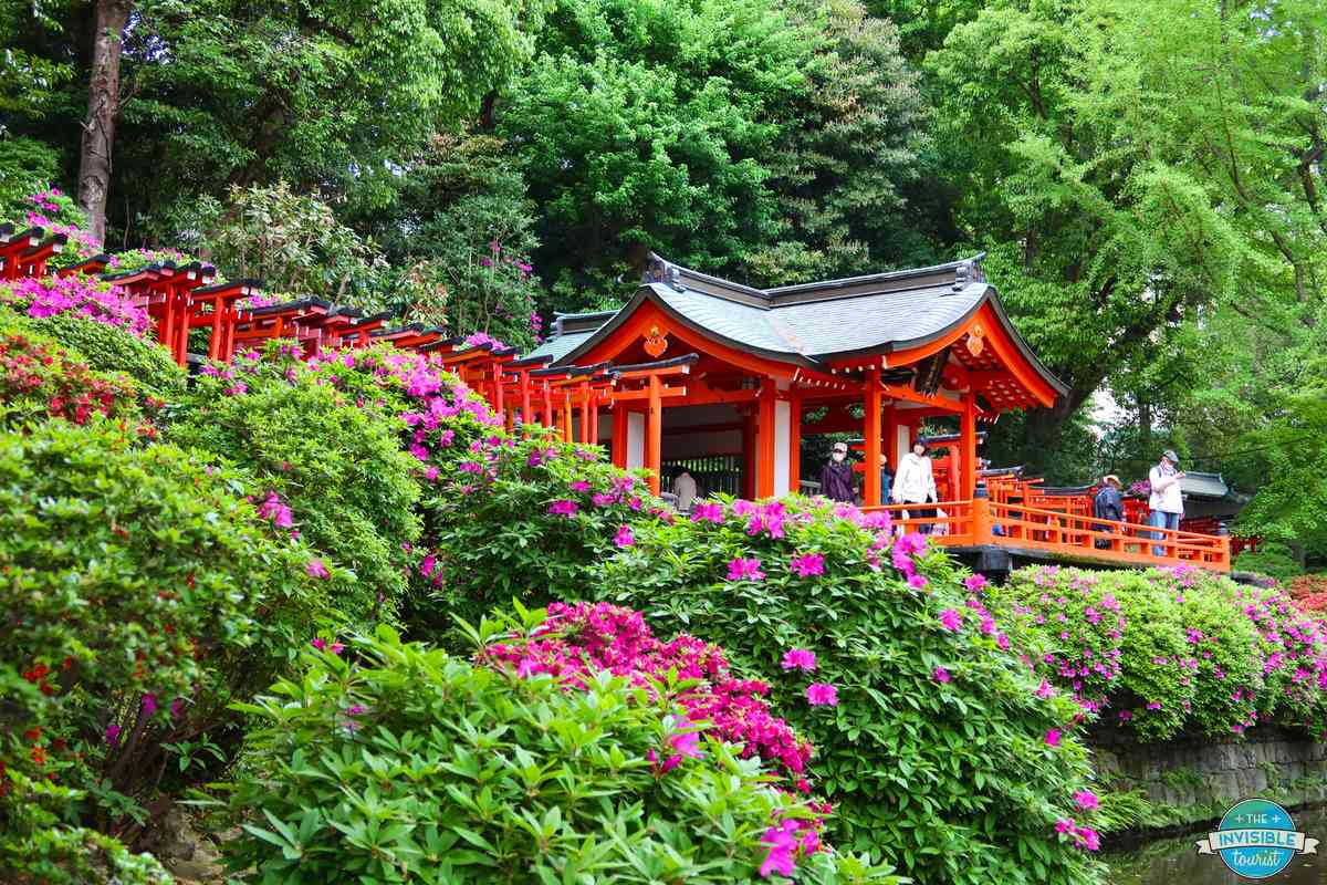 A red shrine pavilion above the pond, surrounded by azaleas, at Nezu Shrine in Tokyo