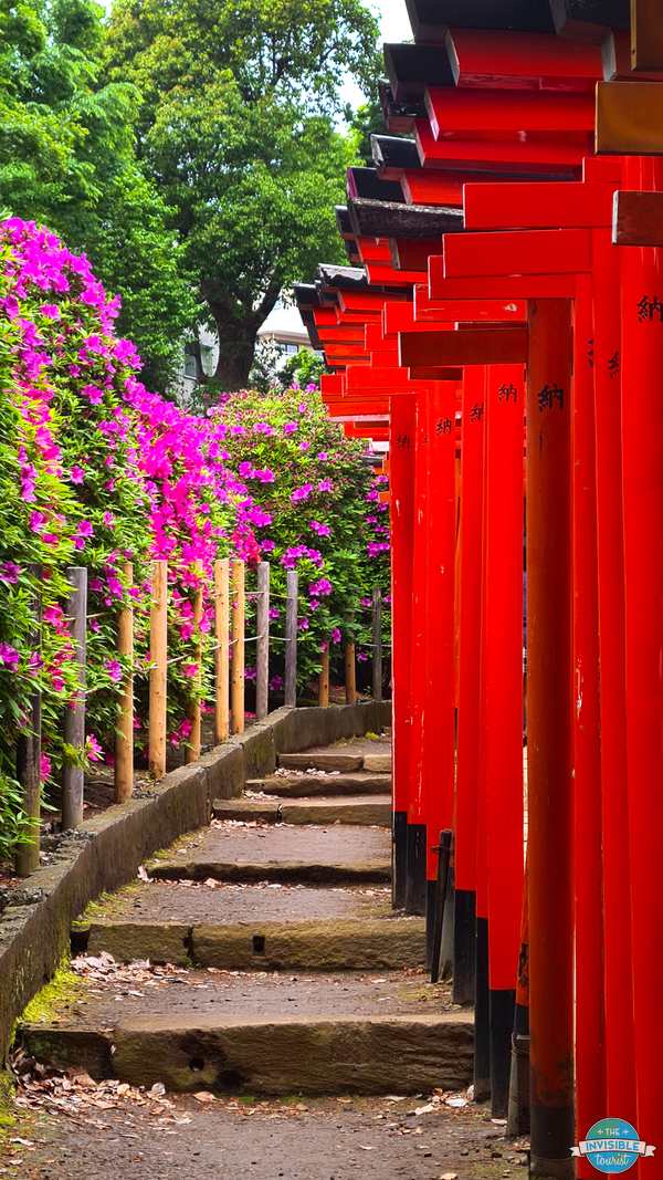 Stone steps beside the tunnel of vermilion torii gates at Nezu Shrine in Tokyo, with azaleas in bloom