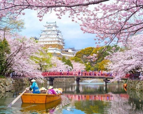 Planning a Trip to Japan: 20+ Essential Tips to Know Before You Go | The Invisible Tourist