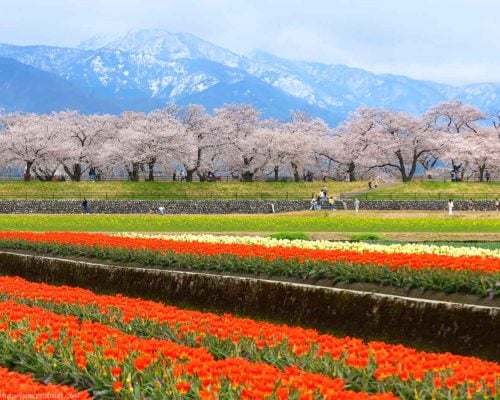 Unforgettable Things to do in Toyama Japan & Nearby Attractions | The Invisible Tourist