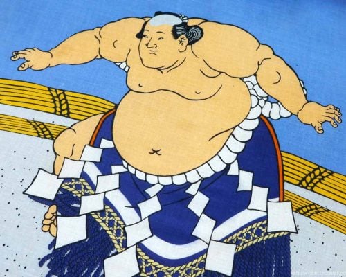 Sumo Training in Tokyo Review: Join In the Super-Sized Fun | The Invisible Tourist